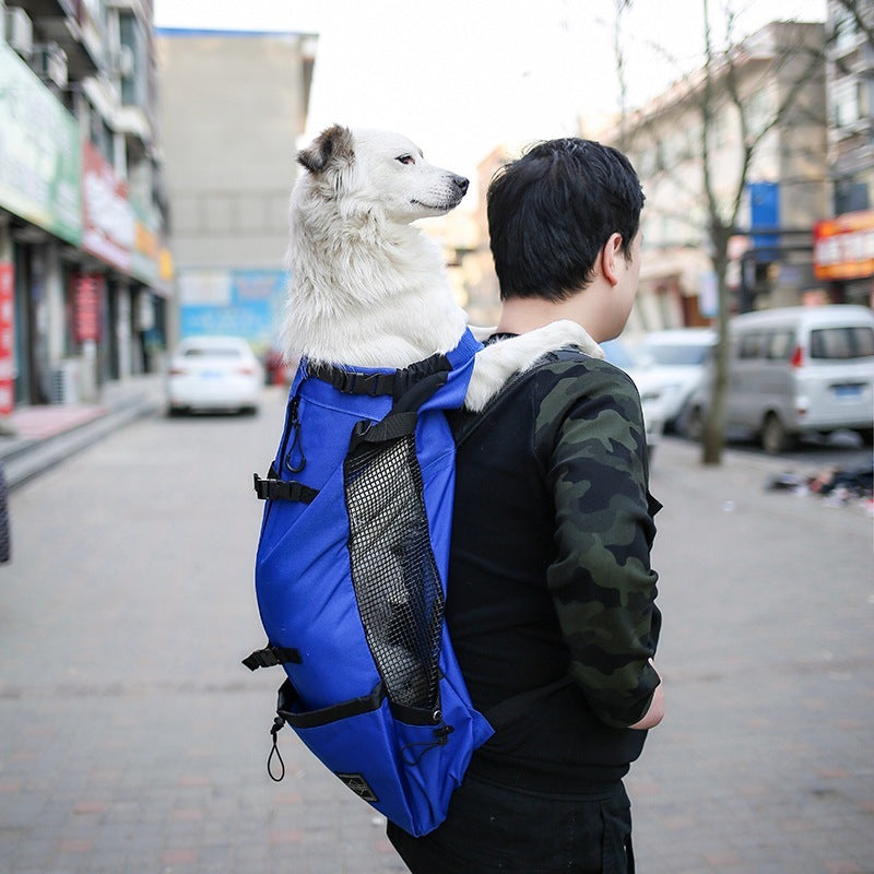 Pet Backpack Exposed, Ventilated, Breathable And Washable 6c1841da 7053 47b6 9534 26811f4f2e47