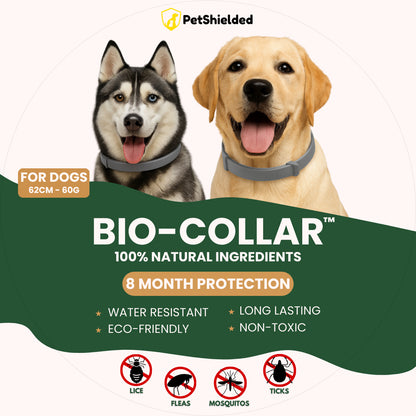 Pet Anti-mosquito Collar Cat Dog Adjustable Insect Repellent Collar Pet Supplies 6c692b6f 4838 441a 97b0 bf6fb1a5469f