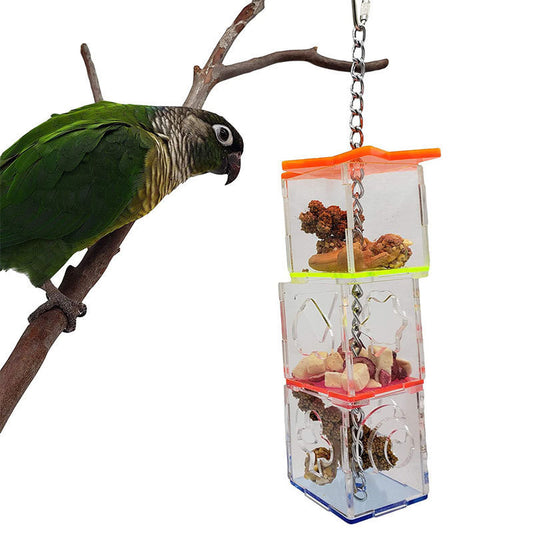 Bird Foraging Device Acrylic Parrot Educational Toy Food Container Fruit Nuts Bite Parrot Toys 6f59a54d 5896 4a0a adbe 81db59