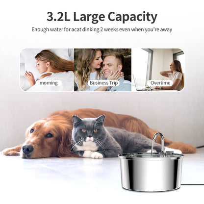 Stainless Steel Water Dispenser Automatic Fountain 7047b543 ccae 4ba0 9620 53ffb4bafe65