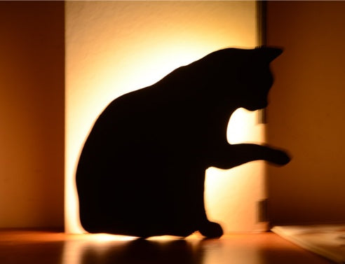 LED Animal Dog Cat Shape Night Light Sensor Control Smart Sound Wall Lamp Home Corridor Balcony Night Lamp Baby Kids Sleep La