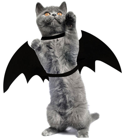 Halloween Costume Pet Bat Wing Pet Cosplay Prop Halloween Clothes Cat Dog Costume Pets Products 706670372709