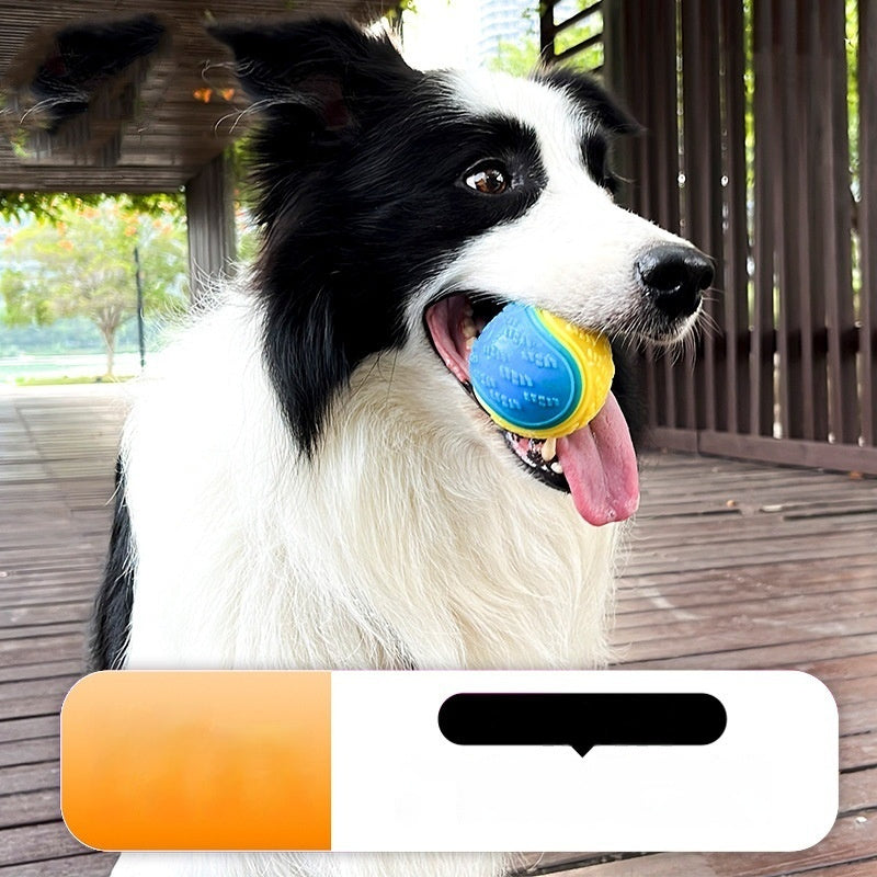 Pet Toy Dog Molar Long Lasting Sounding Training Ball 70ff679e 9285 4eb9 b4b5 73ba4dc92daf fine