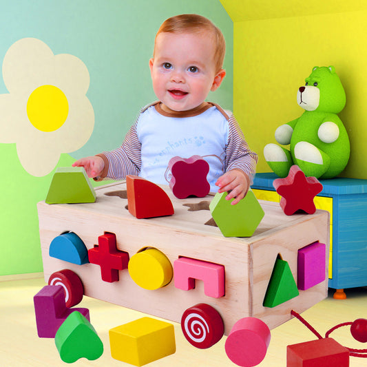 Shape matching building blocks 71033122882004
