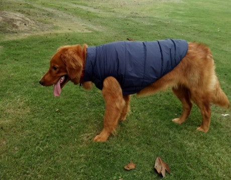 Pet clothing dog clothing warm waterproof outdoor pet supplies 7181970691641