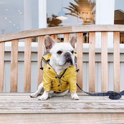 Dog Raincoat Pet Clothes Dog Clothes Rain Water 723561890955