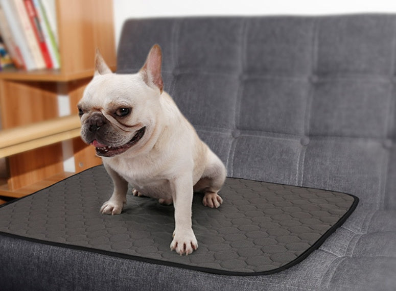 Dog Urine Pad Absorbent Pad Diaper 7355485769644