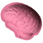 Funny Single Hole Creative Brain Silicone Mold 73c0385b 3820 4d26 8027 41f7378cae18