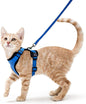 Breathable Chest Strap Reflective Anti Breaking Loose Hand Holding Rope 73dd4d2f efb9 47e1 8d1c d629bc21c2e2