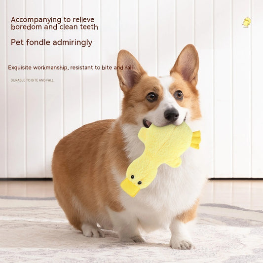 Pet Plush Large Molar Toy 73e9d4b9 f193 4ef9 8783 336ba95931b1 trans