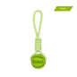 Molar Teeth Cleaning Interactive Toy 747d17d9 d746 441c 8802 8f01db2f002b trans