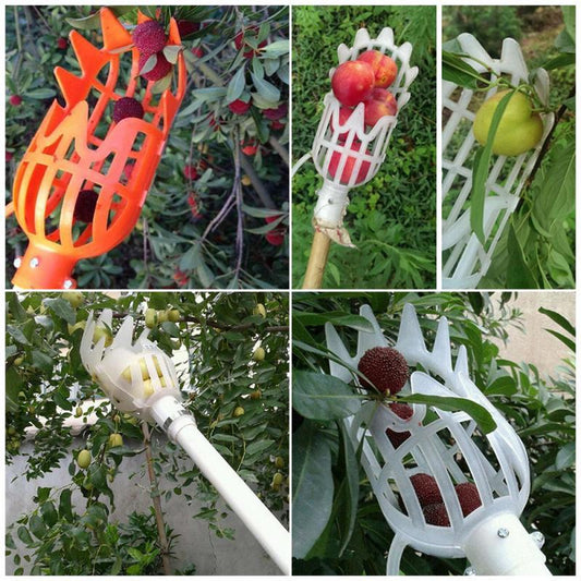 High-altitude fruit picker 749083300774