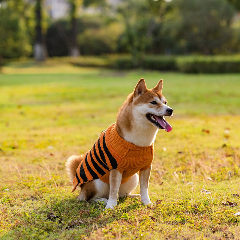 Halloween Dog Sweaters Pet Costume Teddy Warm Leisure Sweater Cosplay Clothes For Dogs Pets Outfits 7574b69b 1048 48bf 8969 b