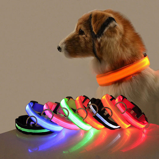 Safety Dog LED Collar 75fc13e7 026f 42c7 94fc ec2ff9e9c02b