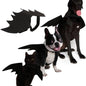 Pet bat wings clothes 772822485084 b7bada1f d115 40bd 9aa1 d23b9befb95c