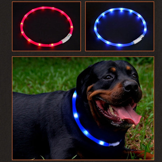 Luminous And Bright Warning Collar Can Be Freely Cut To Length 788f4b64 929b 4c03 972e 1980f48a645c