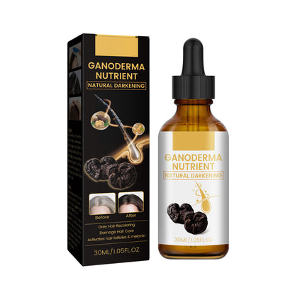Hair Care Moisturizing Hair Repair Massage 7950767e 7266 4512 8833 fd63698f16f1