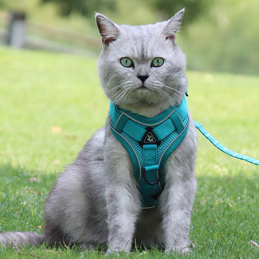 Cat-specific Anti-breakaway Cat Rope Silver Gradient Chain 79d2a007 e1ef 4e79 896a a1e75ac07881