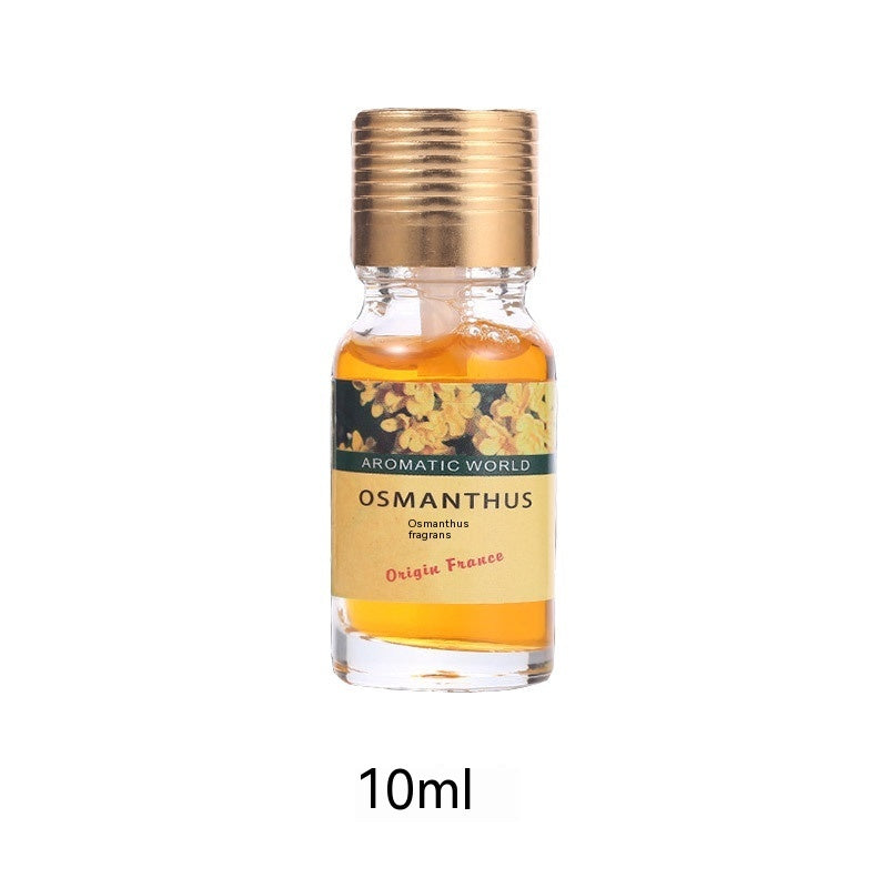 Car Empty Perfume Bottle Rearview Mirror Pendant Car Glass Bottle Empty 7ae02479 9b00 44e9 a9e1 057b56c945bc