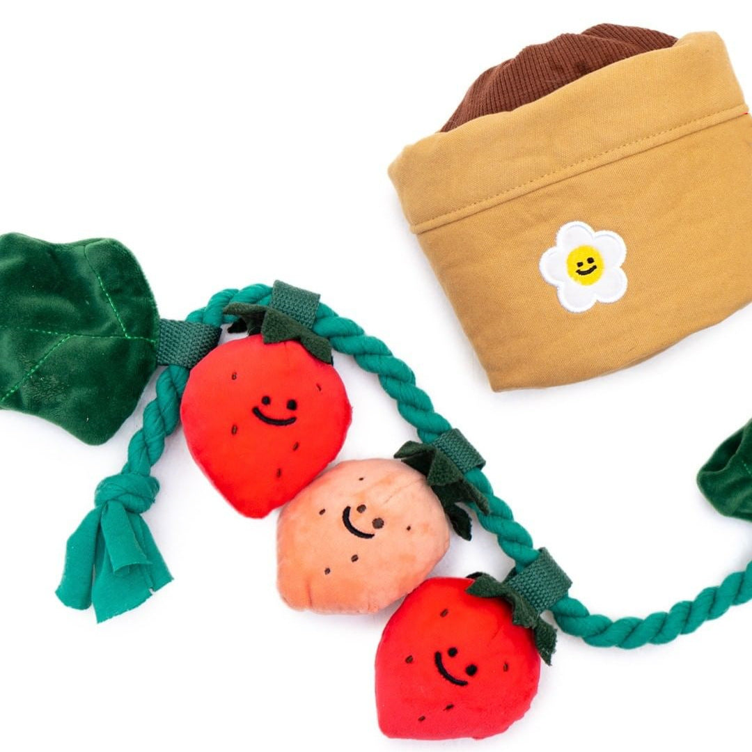 Strawberry Potted Plant Set Tibetan Food BB Called Pull Toy 7c568085 cafb 467c 9b3e 79377e3838b9