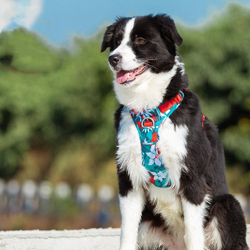 Pet Dog Chest Strap Camouflage Hand Holding Rope 7c7cc686 56f9 4fc6 b1eb 8dcbdff0ce93
