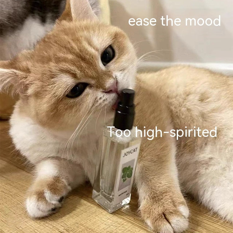Household Personalized Cat Happy Water 7d051d5b a2f5 4162 a453 16983a604094