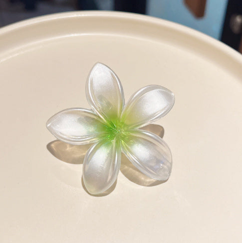 Small Size 4cm Pearlescent Flowers Barrettes Sweet Plumeria Rubra 7f081dc4 68d1 4091 ba8d 1fcdc1dd7de5