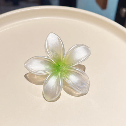 Small Size 4cm Pearlescent Flowers Barrettes Sweet Plumeria Rubra 7f081dc4 68d1 4091 ba8d 1fcdc1dd7de5