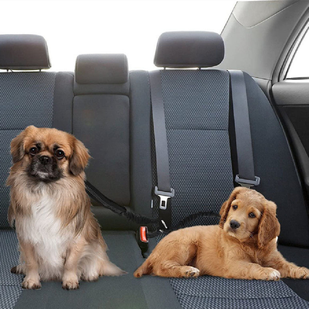 Pet Car Seat Belt Double-ended Traction Rope One For Two 7f1a2a2c 0b4c 4f44 a03b cb3d63ac69b9