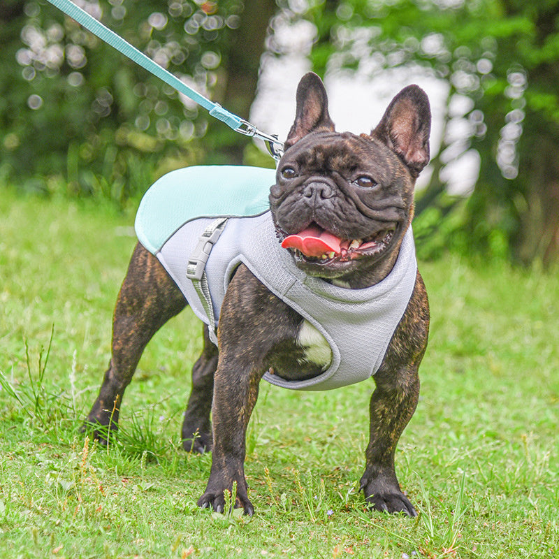 Summer Pet Outdoor Breathable Cooling Vest 804eef53 69a5 4fb9 8828 1b799d959749