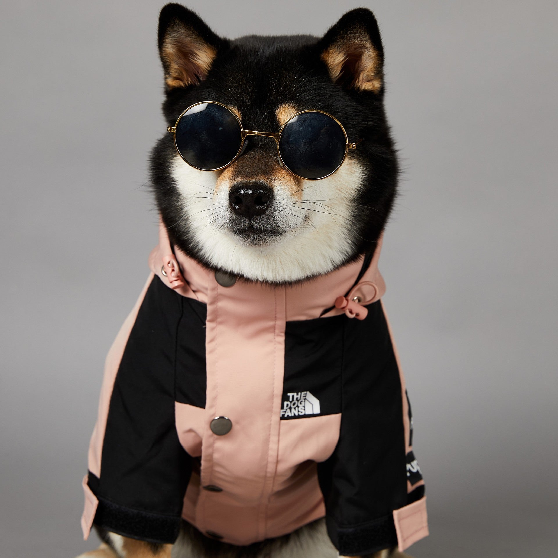 Windproof And Rainproof Large Dog Raincoat Pet Shell Jacket 80c1e9e3 0d46 4f61 8077 4cee3cf28ee4