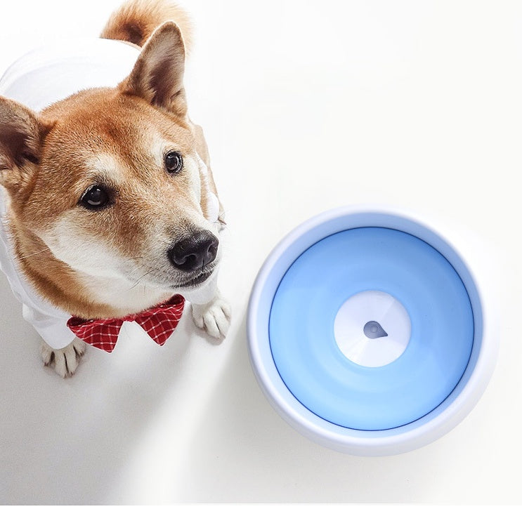 Dog automatic drinking bowl 810273125760