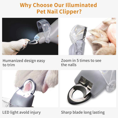 Pet LED With Light Nail Scissors Dogs And Cats Cleaning Scissors Beauty Luminous Nail Clippers 810c8b39 93d0 48ff 8540 c88b0d