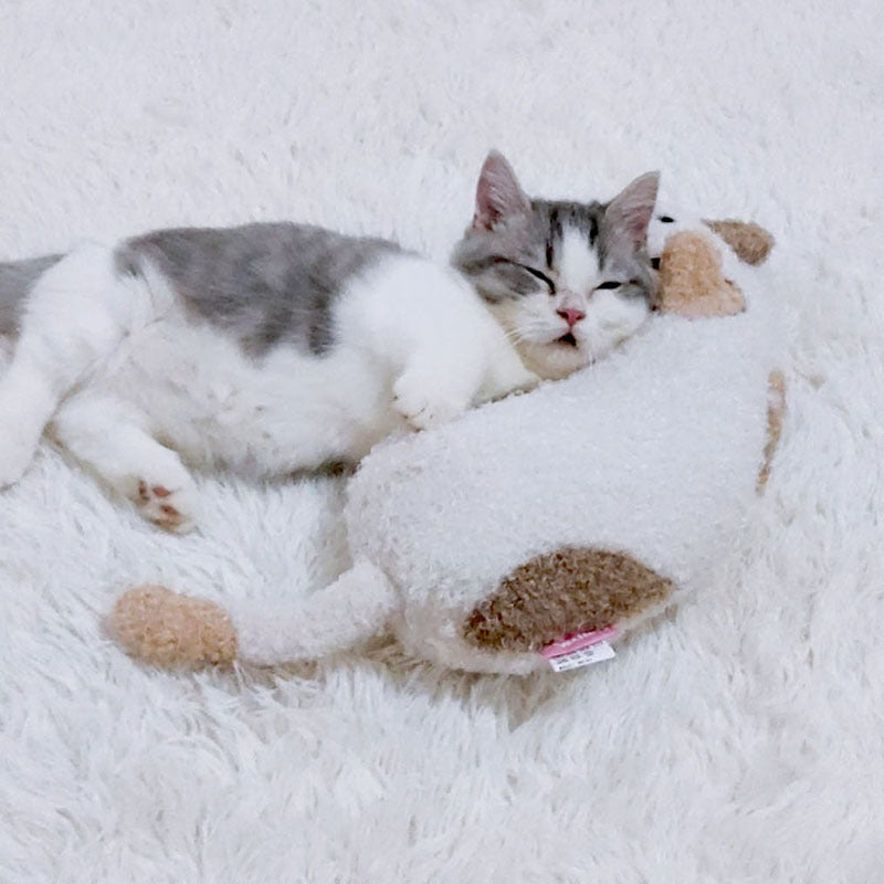 Cat Toy Pillow Shaped Funny Funny Stick Pet Supplies 82a0e6cc 3d61 486b bea0 7f22136d67fc