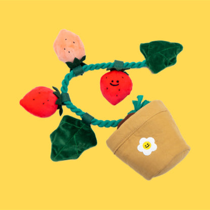 Strawberry Potted Plant Set Tibetan Food BB Called Pull Toy 8348e052 4ba9 4b41 92ad 5acb1d344046
