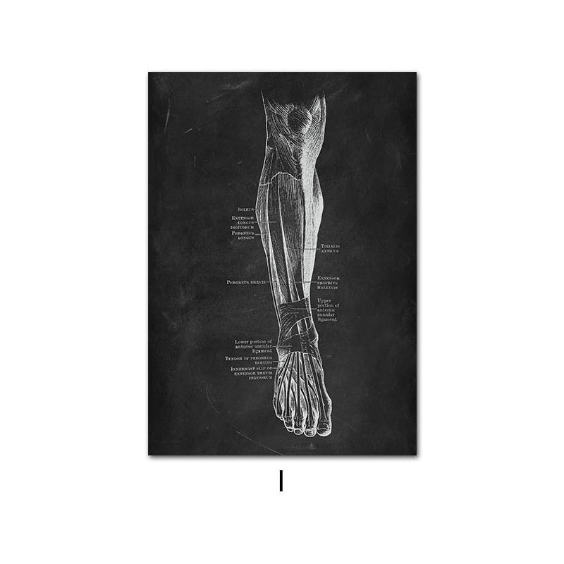 Canvas Painting Of Human Anatomy Skeleton Organ System - 图片 14