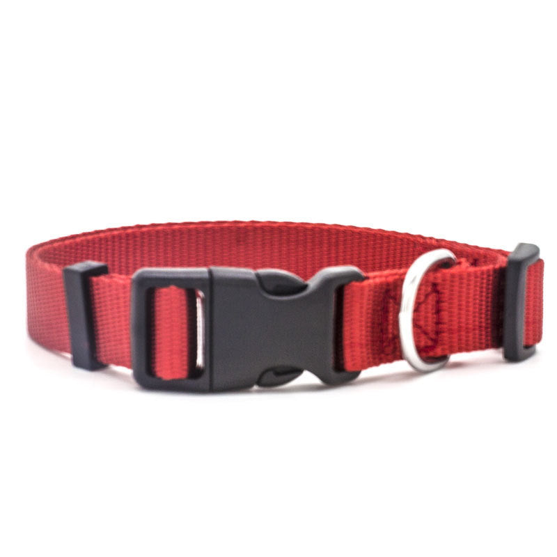 New Pet Collar 838511806837
