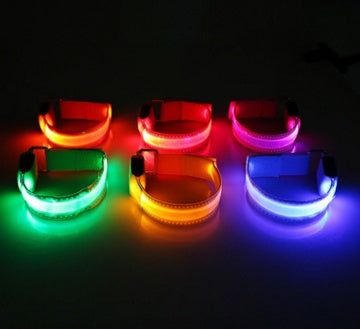 Safety Dog LED Collar 838903818060