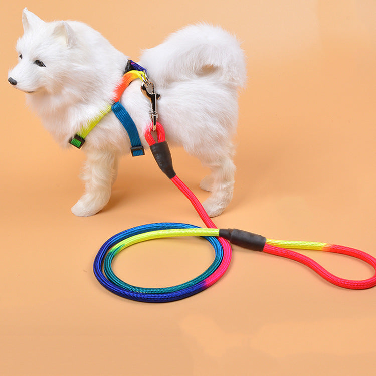 Colorful Nylon Round Hand Holding Dog Rope Pets Supplies 83bf9dda 4f0a 47f2 909b ea473b946a0e