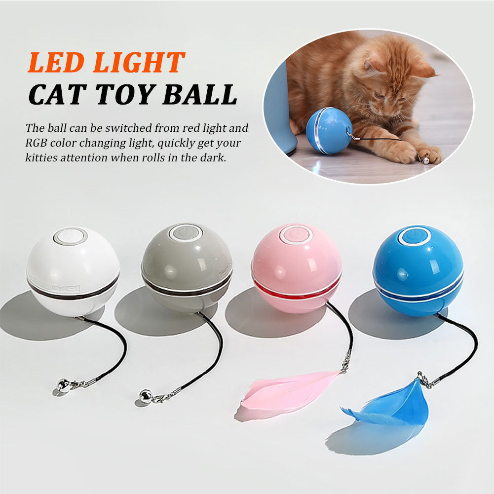 Colorful LED Laser Funny Cat Ball 840826919908