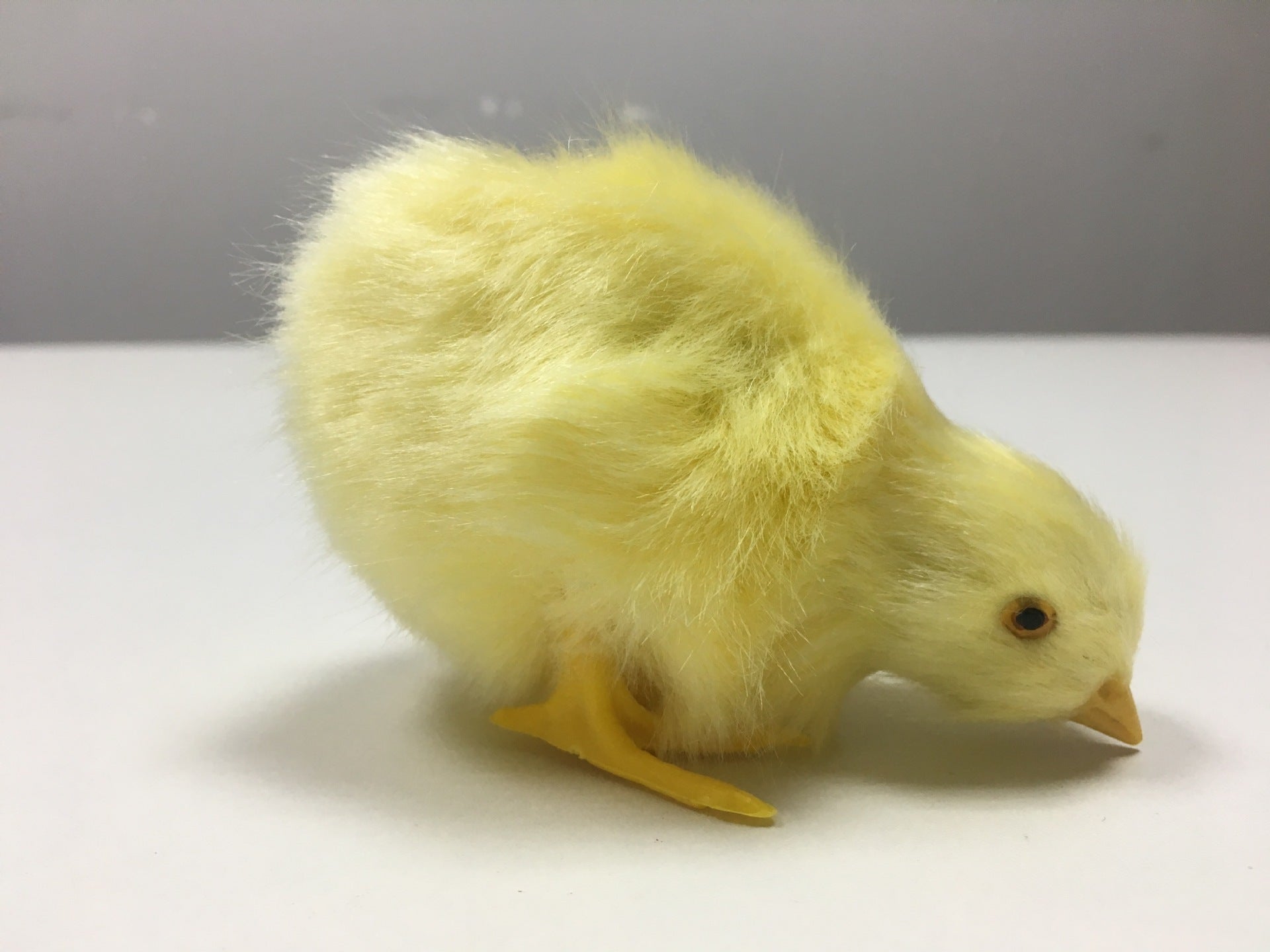 Animal Doll Children Teaching Static Model Chick Decoration 84b5d5a0 6577 4f46 9d7d be5cea9c7d45