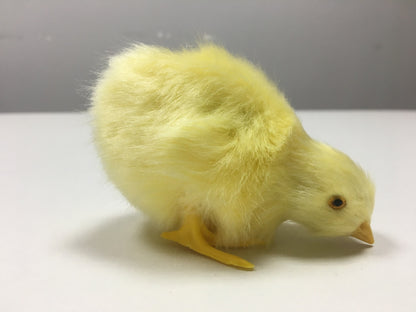 Animal Doll Children Teaching Static Model Chick Decoration 84b5d5a0 6577 4f46 9d7d be5cea9c7d45