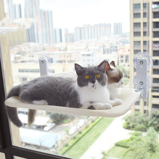 Cat Suction Cup Window Glass Hammock Pet Cat Pets Products 84d007b3 8357 4bcf a23f 7a484b40dcc6