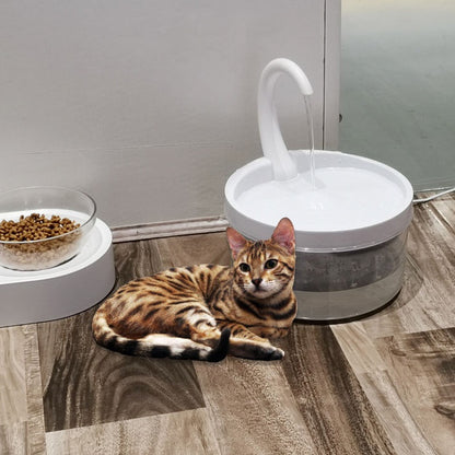 Automatic Circulation Drinking Fountain Drinking Fountain Pet 850650018949