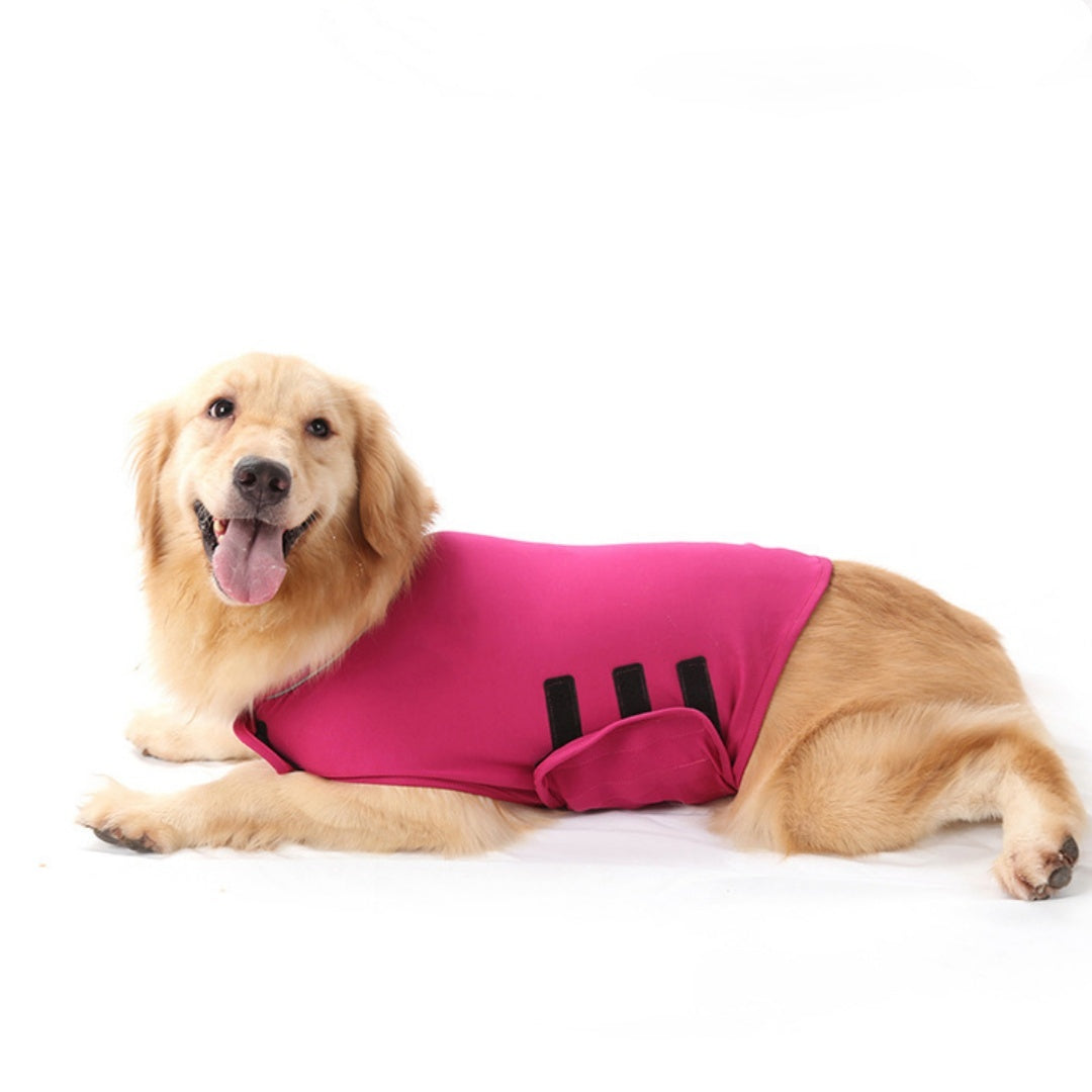 Pet Mood Soothing Anxiety Jacket Soothing Clothing 852c37a9 1095 499a 8e51 555dabc393c1