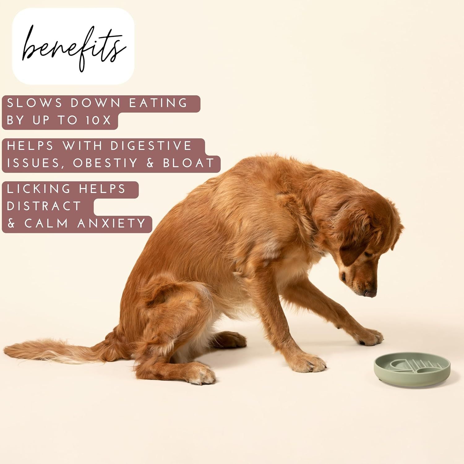 The Slowdown Bowl Silicone Slow Feeder For Dogs Puppies Slow Eating Modern Lick Mat Design Reduces Gulping Dishwasher Fit For