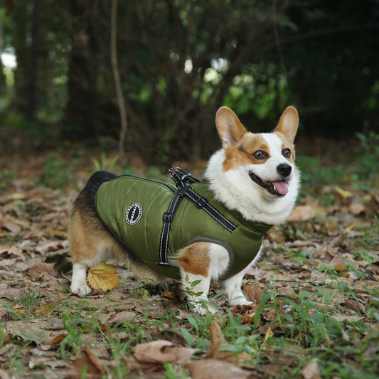 Fashion Personalized Warm Keeping Multicolor Pet Clothes 87dd538f 3d58 4e04 9c6d bb2c67811e37