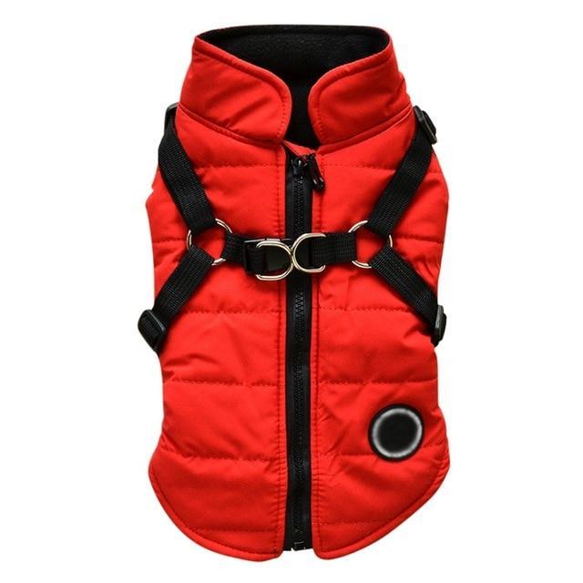 Dog zipper jacket 8837907965712