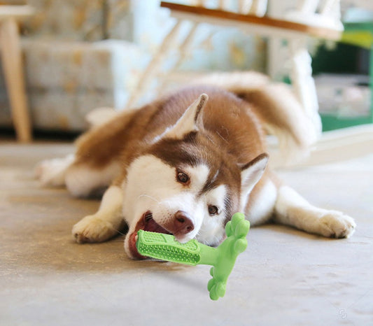 Dog Molar Toy Large Dog Brushing Artifact Pet Supplies 88685263837947