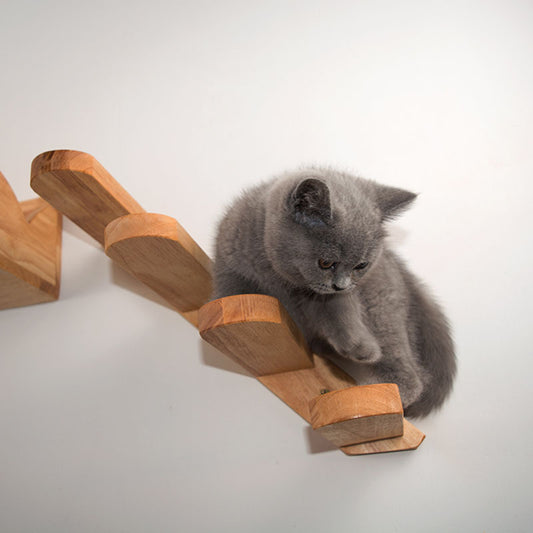 Cats Climbing Ladders On Solid Wood Walls, Rubber Wood Springboards And Stair Toys 893568397839